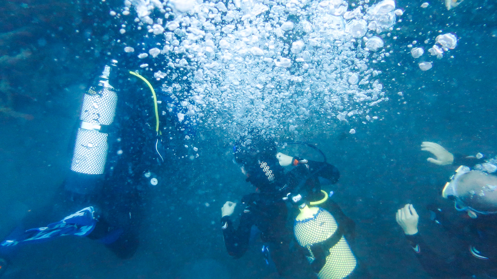 Overhead view of MUI team members learning how to scuba dive underwater.